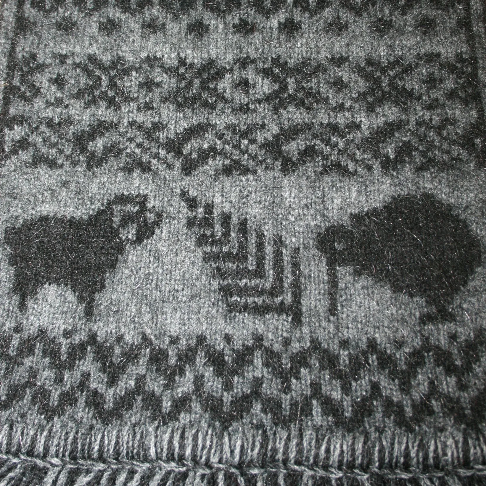 KIWI ICON SCARF